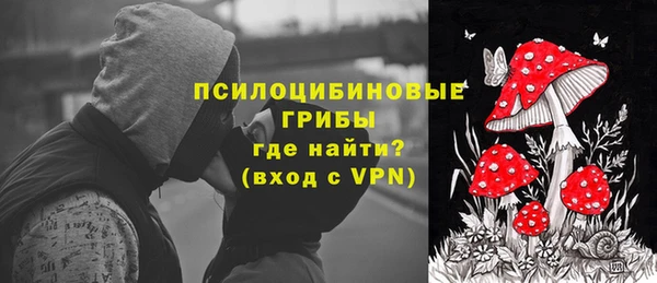 сатива Красноперекопск