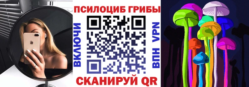 Псилоцибиновые грибы Cubensis  Купить где  Дзержинск 